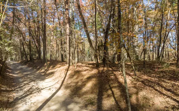Ellijay, GA 30536,1 TR Old Anderson Creek