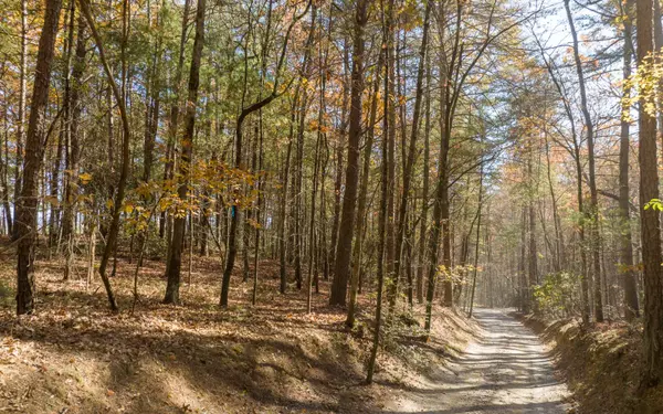 Ellijay, GA 30536,2 TR Old Anderson Creek
