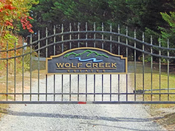 Mineral Bluff, GA 30559,Lot 15 Wolf Creek Estates