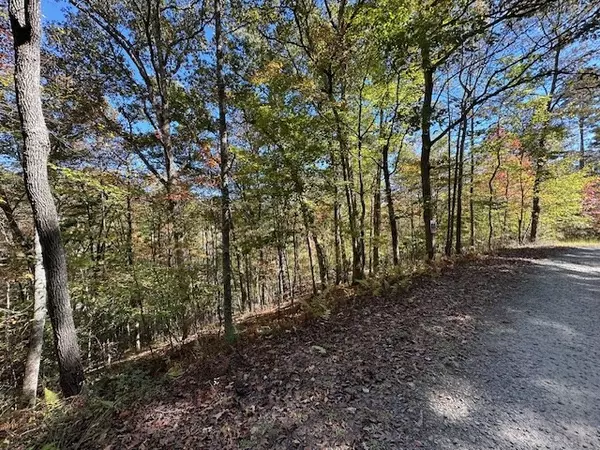 Mineral Bluff, GA 30559,Lot 15 Wolf Creek Estates