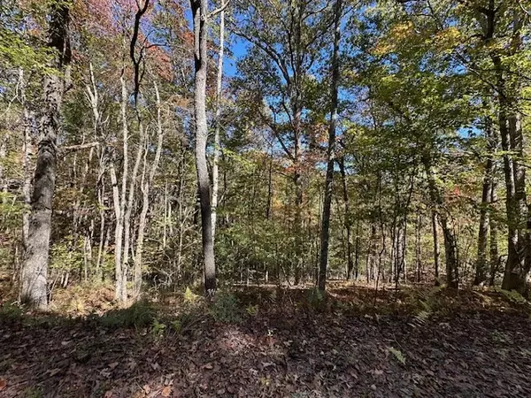 Mineral Bluff, GA 30559,Lot 15 Wolf Creek Estates