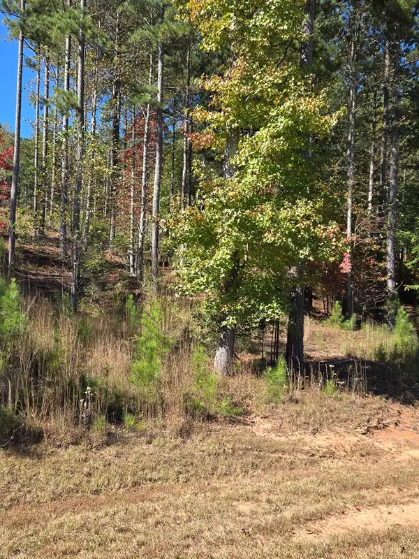 Blairsville, GA 30512,Lot 132 Sandy Lake Lane