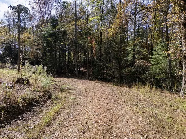 Blairsville, GA 30512,L21 & 22 Eastridge Court