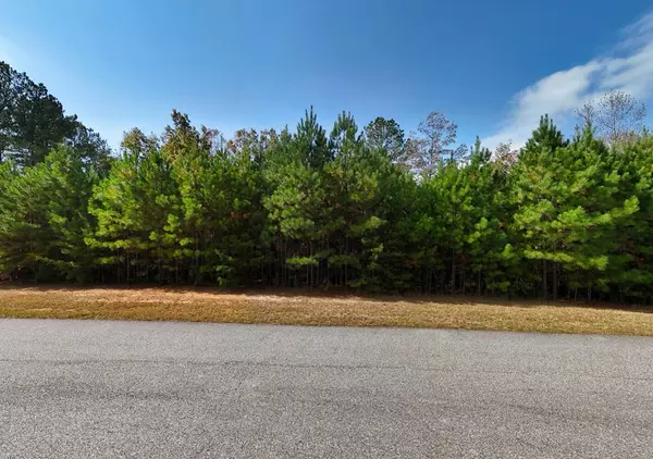 Blairsville, GA 30512,Lot 42 Water Oak Lane