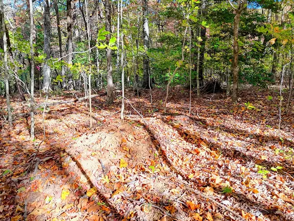 Hiawassee, GA 30546,#20 Victoria Woods Circle