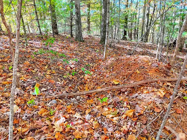 Hiawassee, GA 30546,#20 Victoria Woods Circle