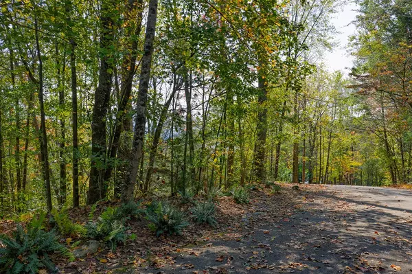 Ellijay, GA 30540,Lot 81 Lillie Drive