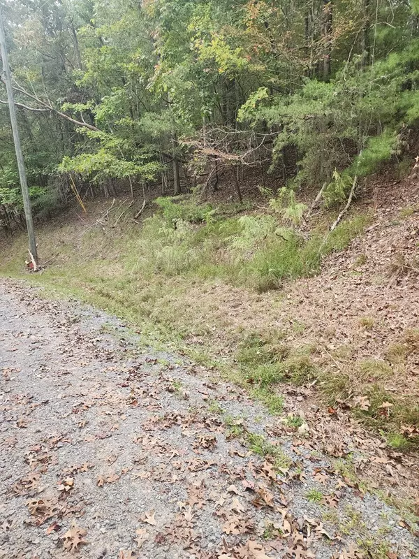 Ellijay, GA 30540,0 Mascot Drive