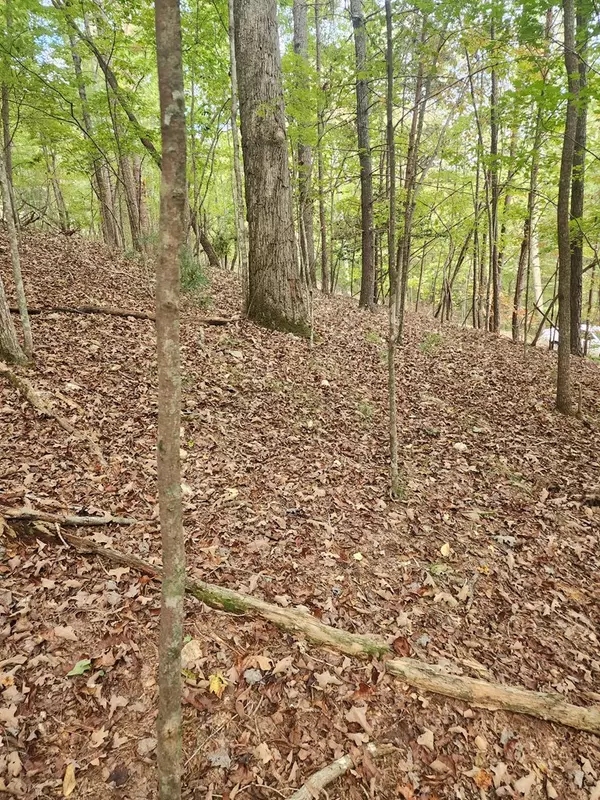 Ellijay, GA 30540,0 Mascot Drive