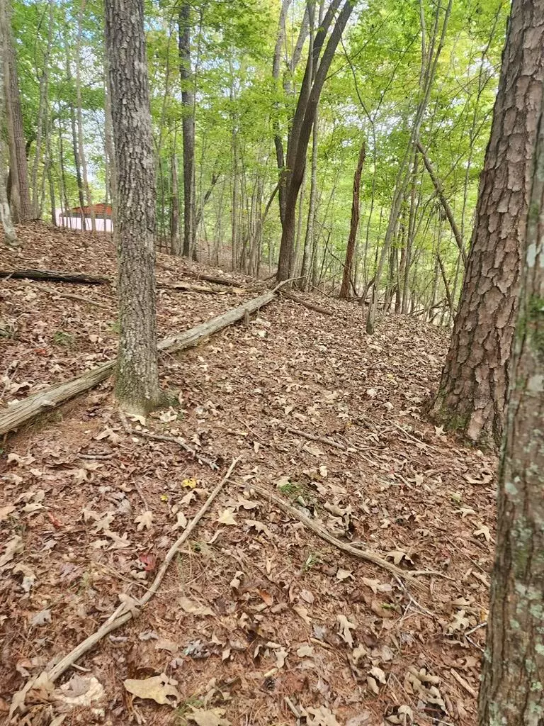 Ellijay, GA 30540,0 Mascot Drive