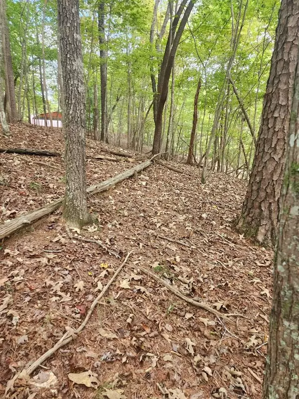 0 Mascot Drive, Ellijay, GA 30540