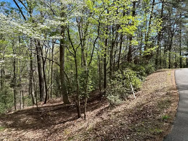 Ellijay, GA 30540,LT699 Choctaw Drive