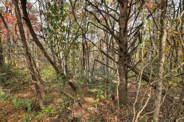 Copperhill, TN 37317,29.40 Ac Bethlehem Road