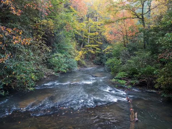 Cherry Log, GA 30522,27 Riverview Lane