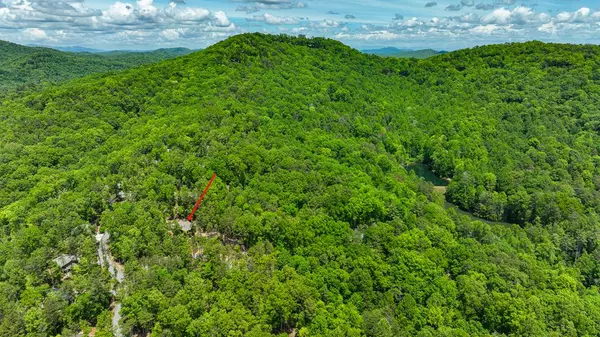 Cherry Log, GA 30522,79 Haley Drive