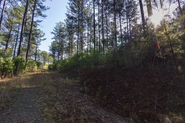 Blairsville, GA 30512,Lot 265 Thirteen Hundred S/D