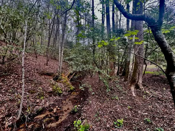 Murphy, NC 28906,16378 Hwy 64