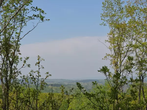 Talking Rock, GA 30175,Lot 105 Twisted Oak Road