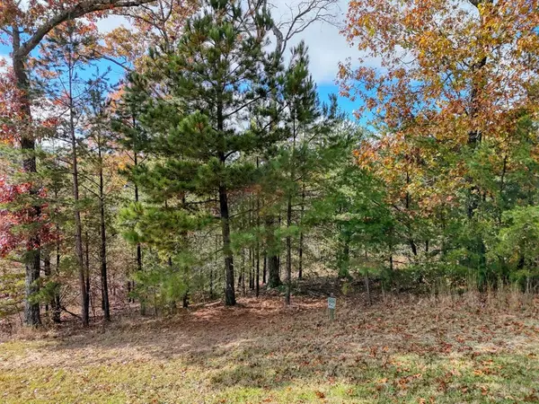 Blairsville, GA 30512,LT 29 Sharp Top Settlement