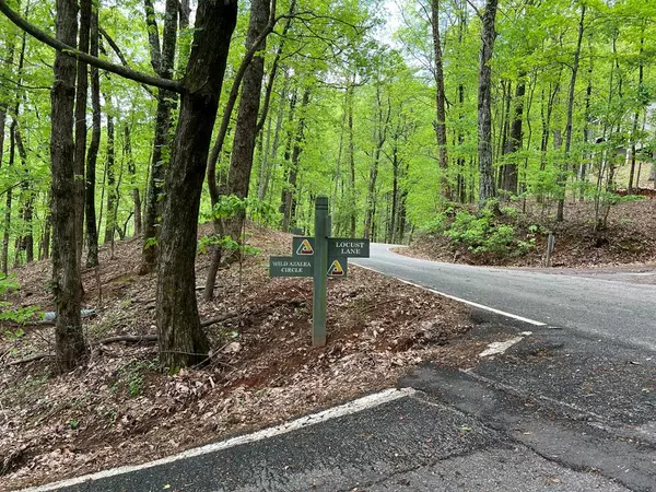 0 Valley View Drive, Big Canoe, GA 30143