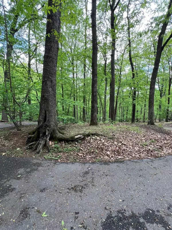 Dawson, GA 30143,387 Windflower Drive