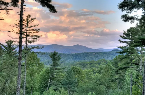 Blue Ridge, GA 30513,114 Price Circle