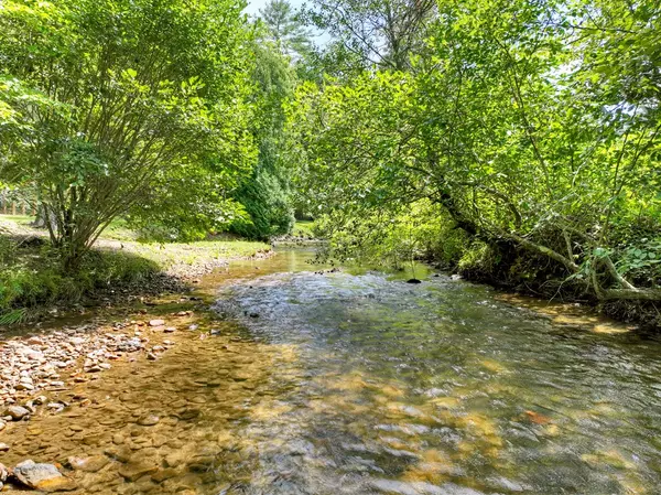 Ellijay, GA 30536,656 Newberry Drive