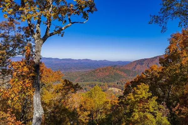 Ellijay, GA 30536,333 Walnut Rdg