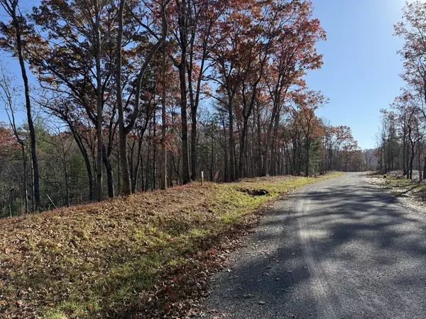 Mineral Bluff, GA 30559,Lot 75 Morgan Road