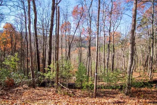 Blue Ridge, GA 30513,Lot 5 Clay's Way
