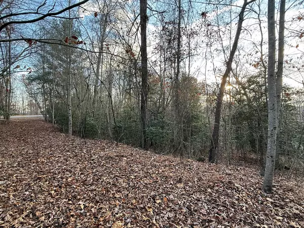 Mineral Bluff, GA 30559,28/32 Stuart Ridge Road