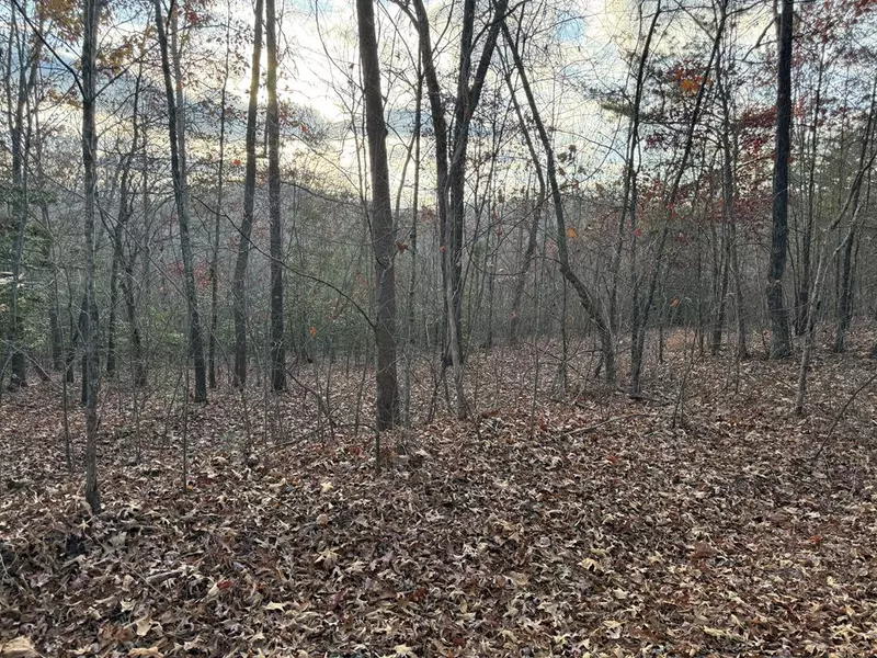 28/32 Stuart Ridge Road, Mineral Bluff, GA 30559