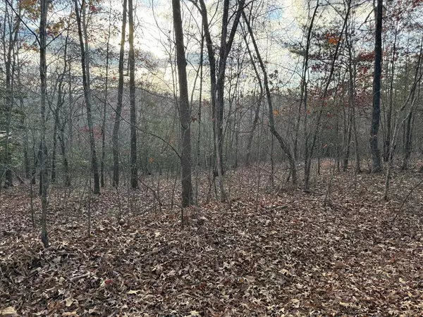 28/32 Stuart Ridge Road, Mineral Bluff, GA 30559