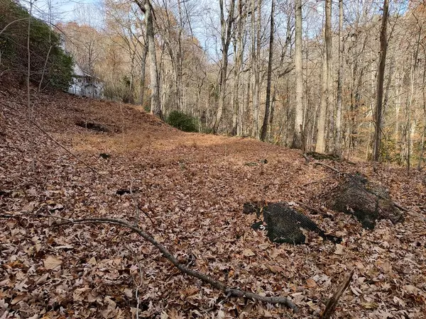 Lot 10 Cherokee Circle, East Ellijay, GA 30536