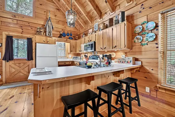 Blue Ridge, GA 30513,90 Dupont Drive