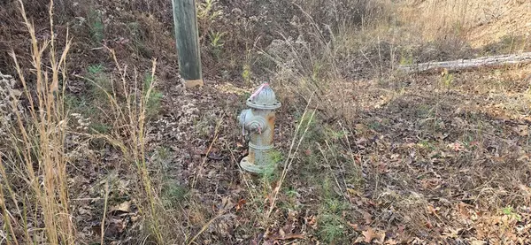 Ball Ground, GA 30107,00001 Hwy 369