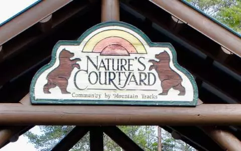 Mineral Bluff, GA 30559,22 Walker Ridge