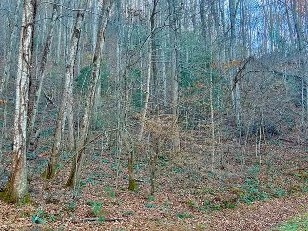 Mineral Bluff, GA 30559,22 Walker Ridge