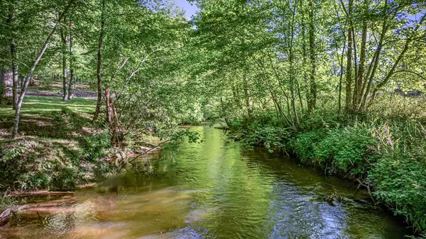 Blue Ridge, GA 30513,390 Sunny Brook Road