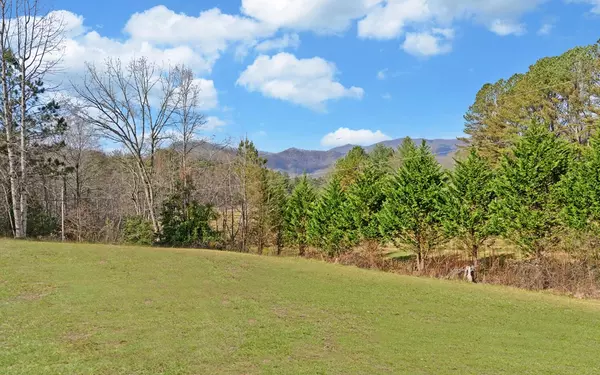 Hiawassee, GA 30546,7300 Mr Bert Road