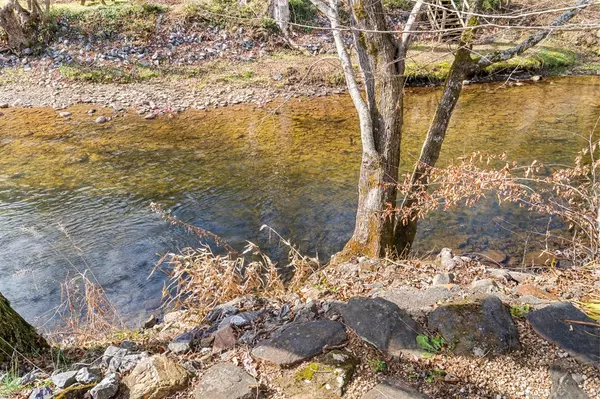 Hiawassee, GA 30546,4119 Riverbank Run