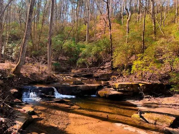 Talking Rock, GA 30175,2468 Twisted Oak Road