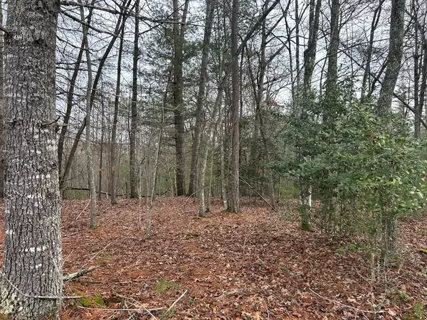 Lt 42 Lola Mae Way, Morganton, GA 30560