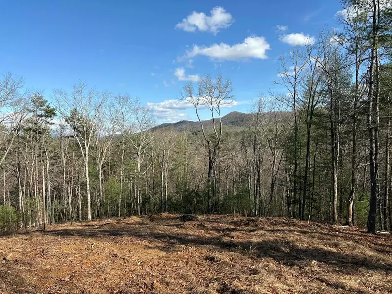 Lot 86 Lookout Ridge, Mineral Bluff, GA 30559