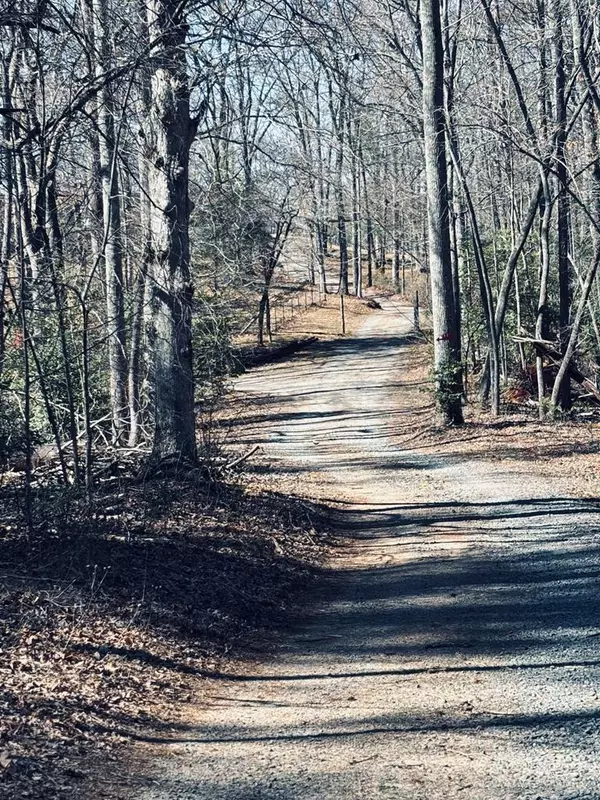 Blue Ridge, GA 30513,Lot 74 Bice Lane