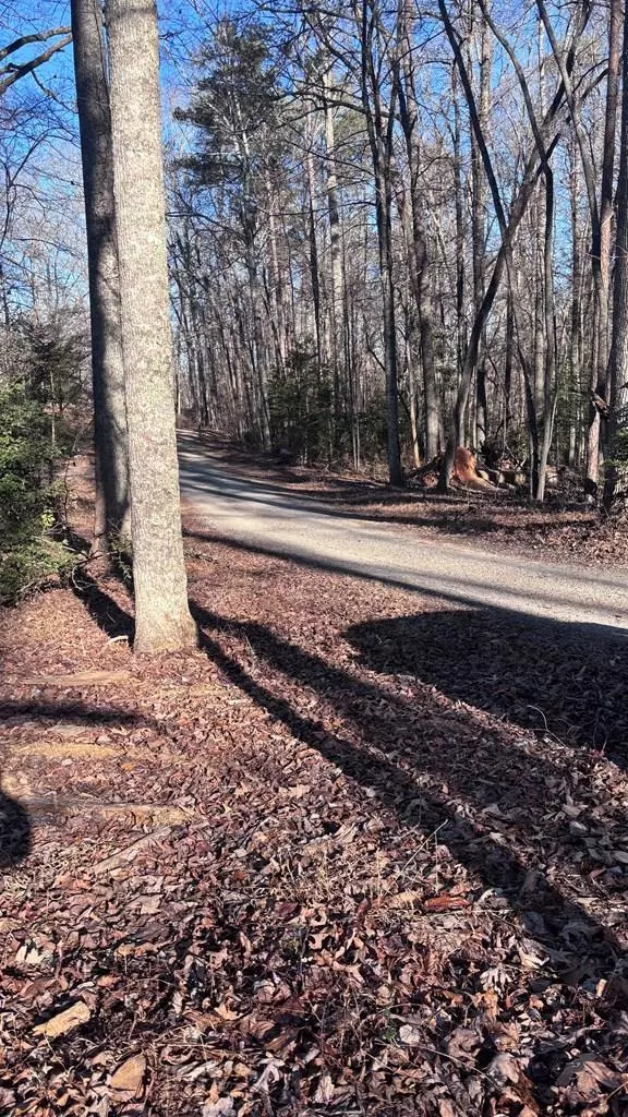 Blue Ridge, GA 30513,Lot 74 Bice Lane