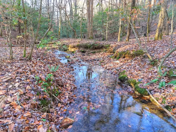 Mineral Bluff, GA 30559,144 Hothouse View