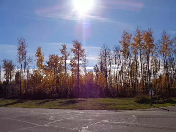 1 Boreal CRES, High Level, AB T0H 1Z0