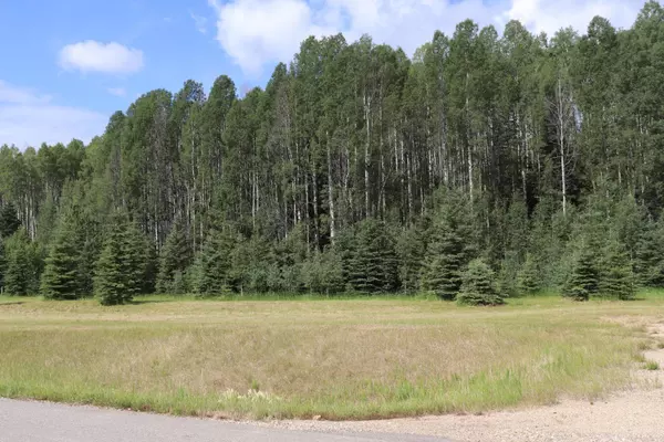 Rural Yellowhead County, AB T7E 3A6,165111 Township Road 532A Subdivision #24