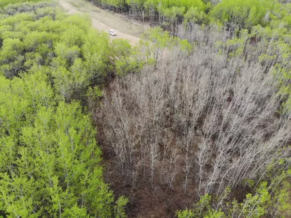 Rural Wainwright No. 61, M.d. Of, AB T9W 1L5,29 450031 73 Range